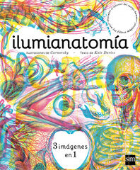 Ilumianatom&iacute;a