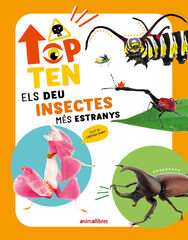 Top Ten Els deu insectes m&eacute;s estranys