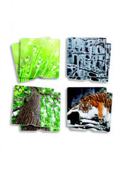 Maxi-memory t&aacute;ctil nuestro entorno