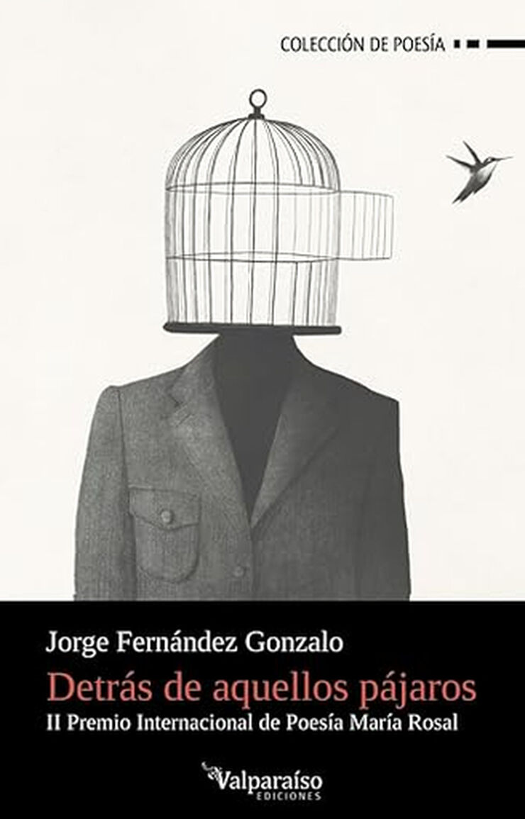 Detr&aacute;s de aquellos p&aacute;jaros