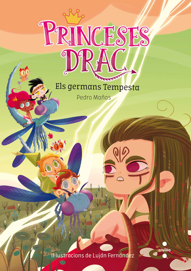 Princeses Drac 5: Els germans Tempesta