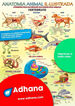 ADHAC 35x50 Anatomia animal il.lustrada