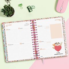 Agenda Finocam 16 mesos Vitae 1/4 setm/vista cas 2025-26 rosa