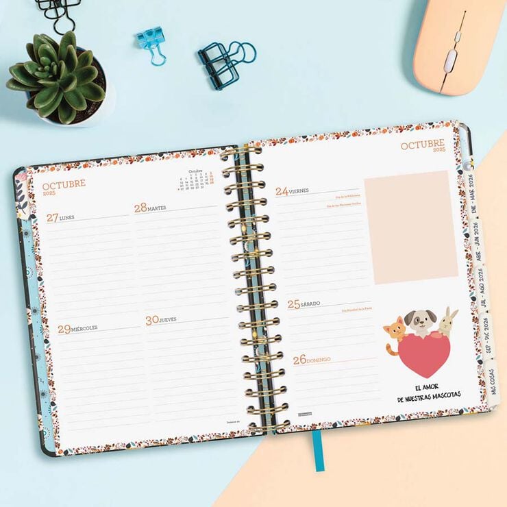 Agenda Finocam 16 mesos Vitae 1/4 setm/vista cas 2025-26 negre