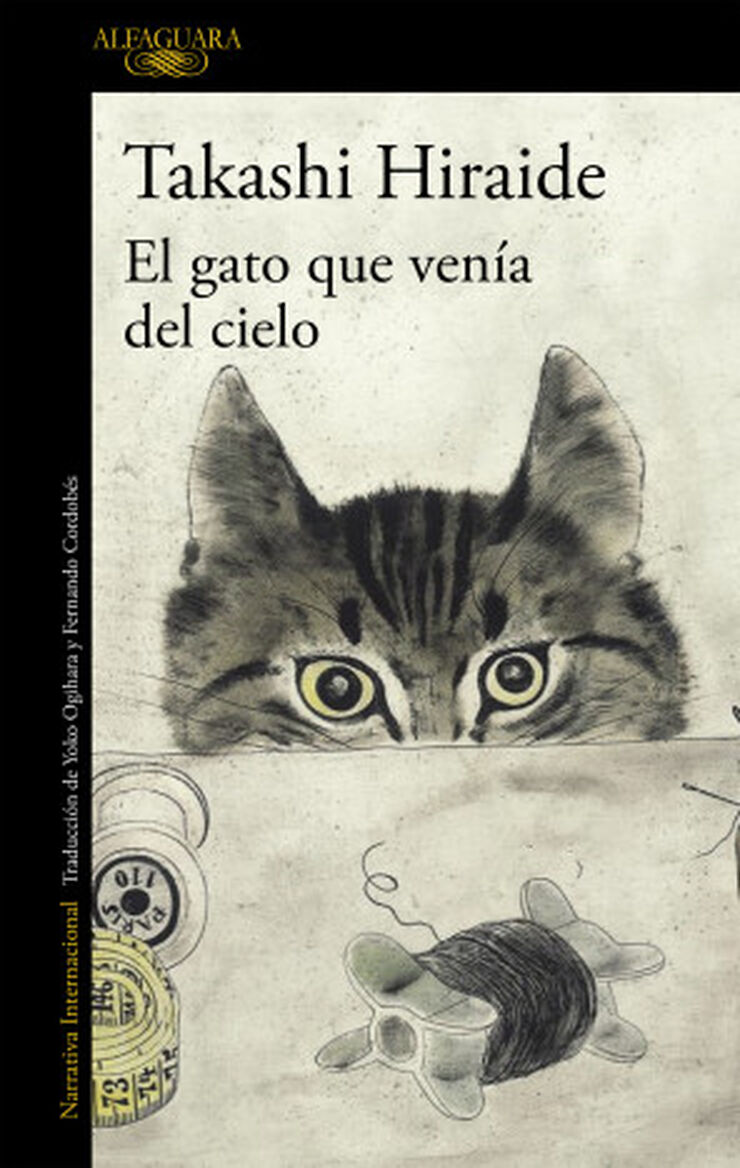 El gato que ven&iacute;a del cielo