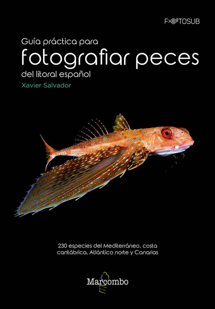 Gu&iacute;a pr&aacute;ctica para fotograf&iacute;as peces del litoral espa&ntilde;ol