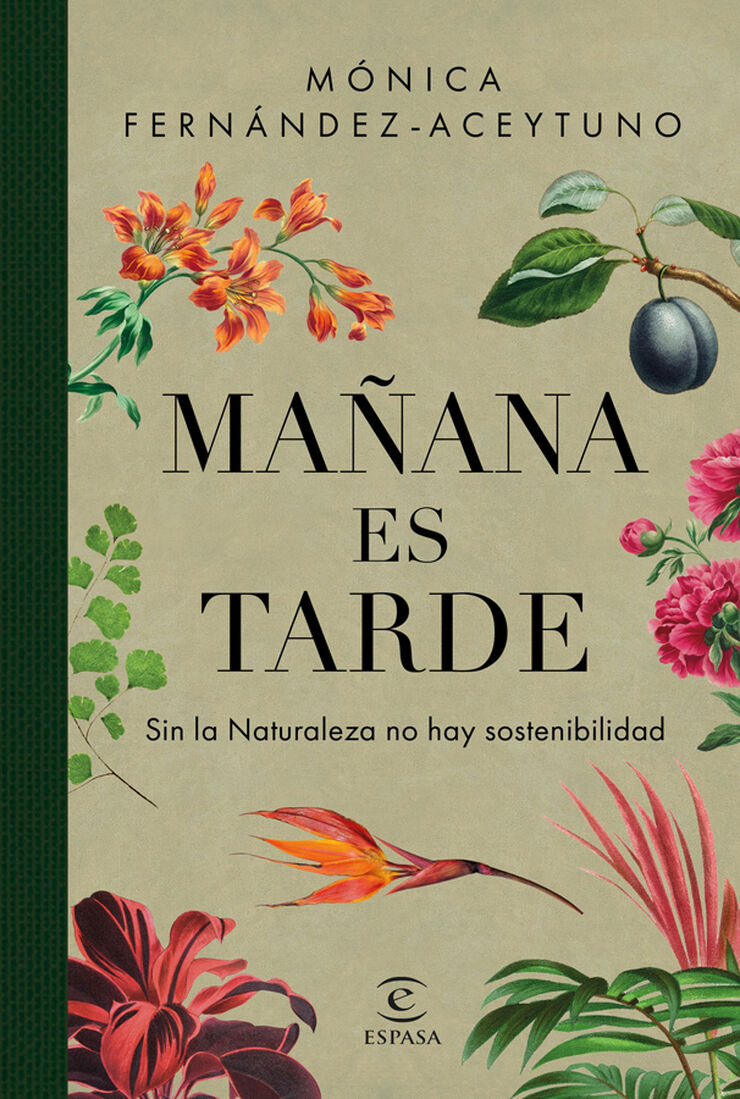 Ma&ntilde;ana es tarde