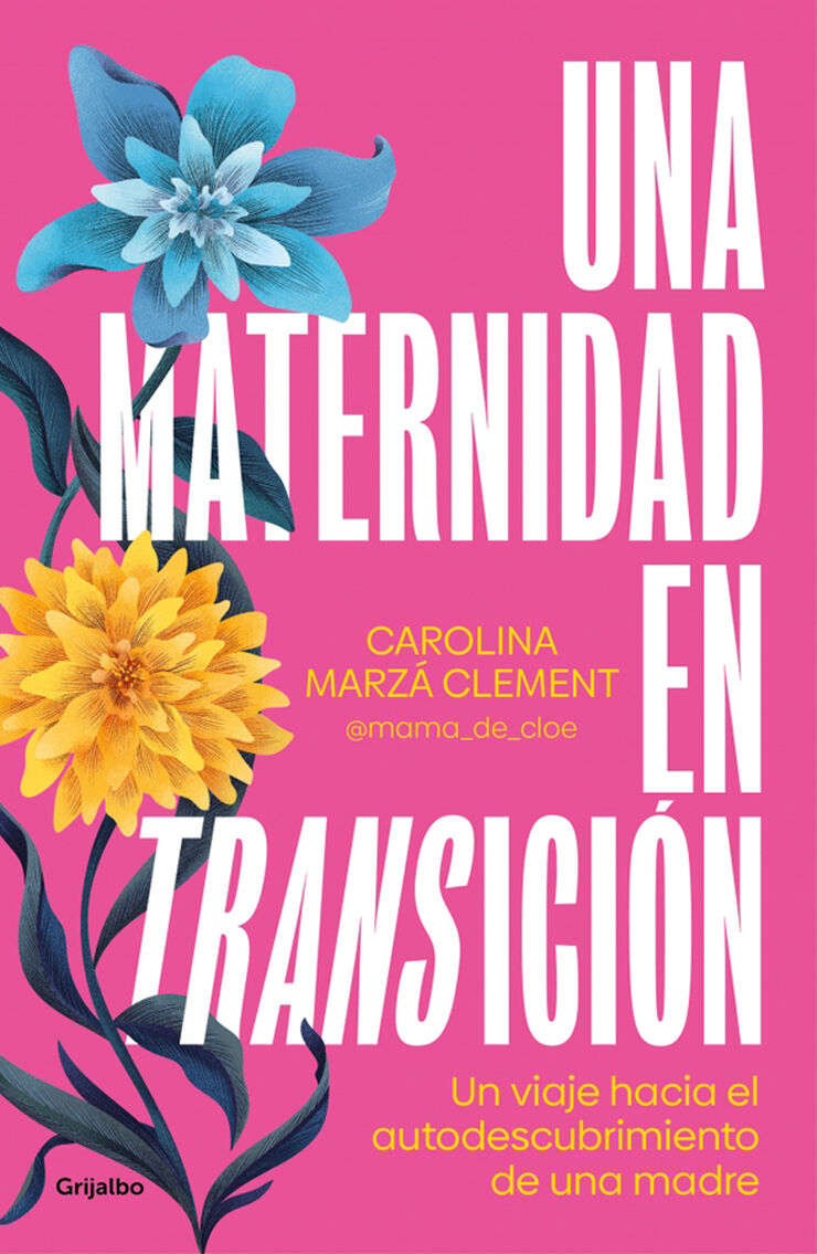 Una maternidad en transici&oacute;n
