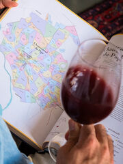 Ruta de los vinos franceses: Atlas de los vi&ntilde;edos de Francia