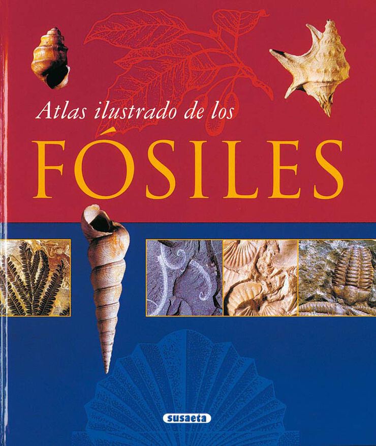 Atlas ilutrado de los f&oacute;siles