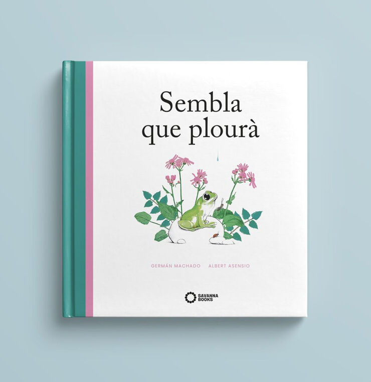 Sembla que plour&agrave;