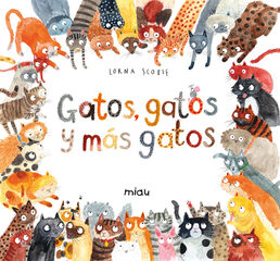 Gatos, gatos y m&aacute;s gatos