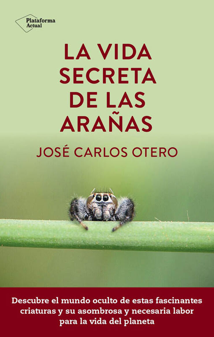 La vida secreta de las ara&ntilde;as