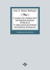 Curso de Derecho Internacional P&uacute;blico y de Organizaciones Internacionales