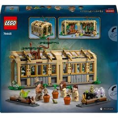 LEGO&reg; Harry Potter TM Castillo de Hogwarts&trade;: Clase de Herbolog&iacute;a 76445