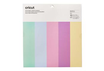 Cartolines Smart 33x33cm past&iacute;s 10u