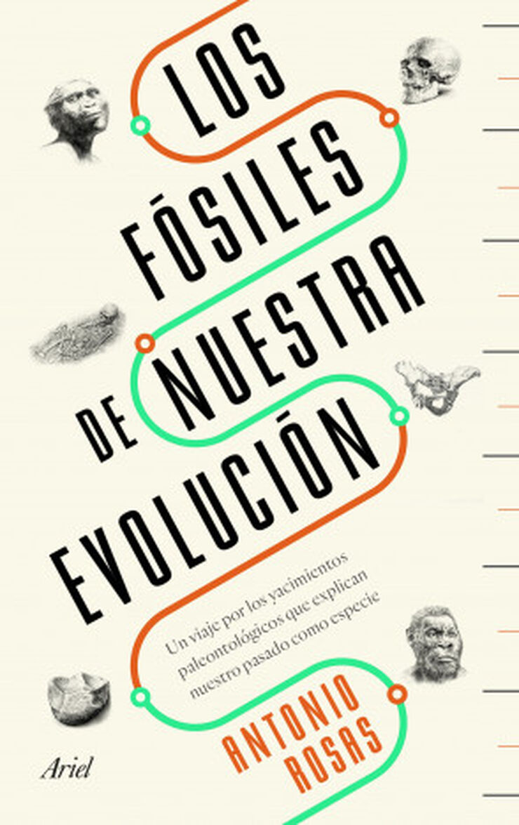 Los f&oacute;siles de nuestra evoluci&oacute;n