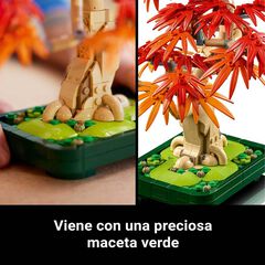 LEGO&reg; Botanicals Bons&aacute;i de Arce Rojo Japon&eacute;s 10348