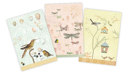 Set de 3 cuadernos de Miranda