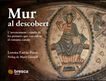 Mur al descobert