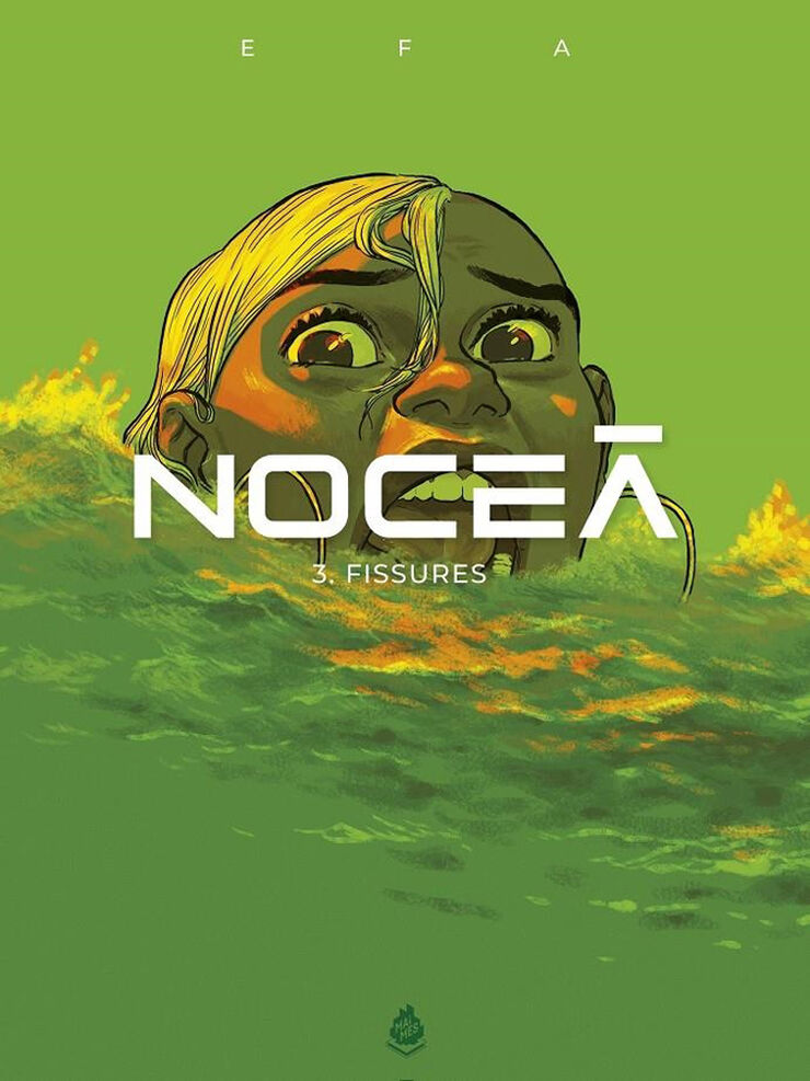Nocea 3. Fissures