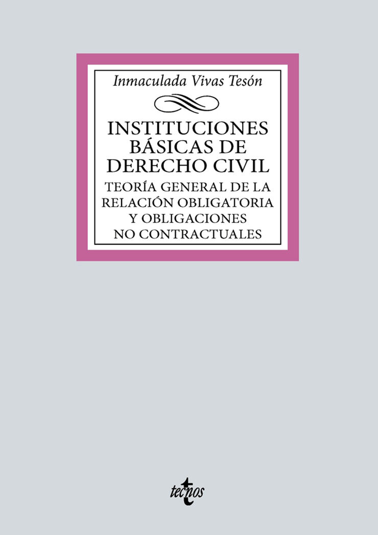 Instituciones b&aacute;sicas de derecho civil