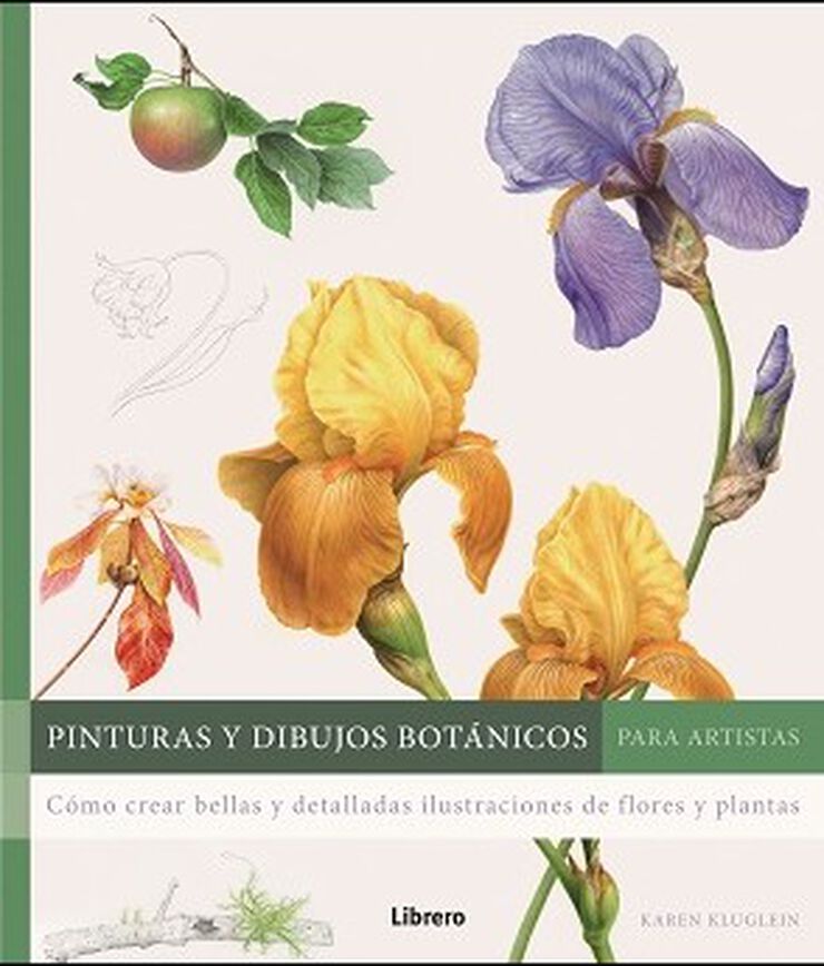 Pinturas y dibujos bot&aacute;nicos para artistas