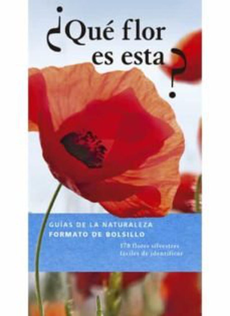 &iquest;Qu&eacute; flor es esta ?