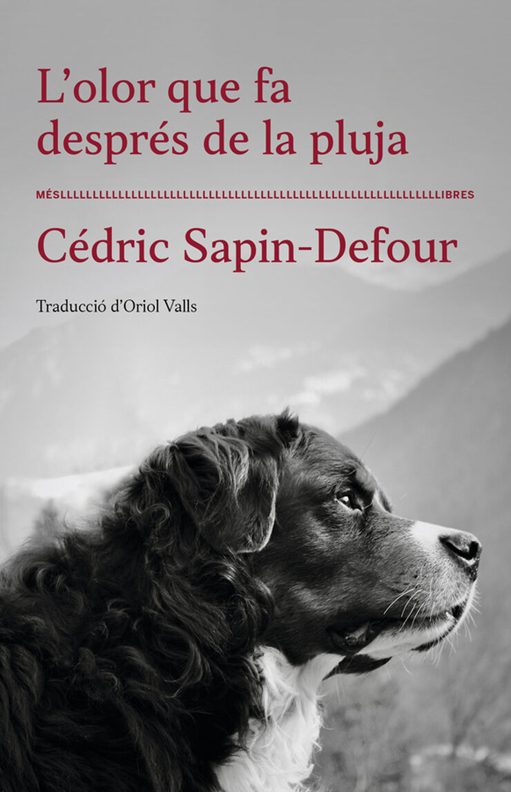L'olor que fa despr&eacute;s de la pluja
