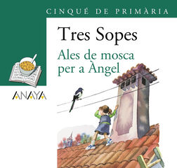 Pack de llibres ''Ales de mosca per a &Aacute;ngel'' 5&ordm; de Primaria (C. Valenciana)