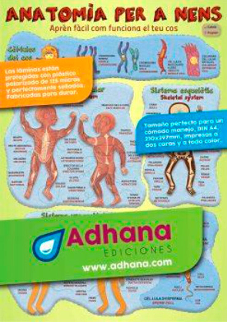 ADHAC Anatomia per a nens