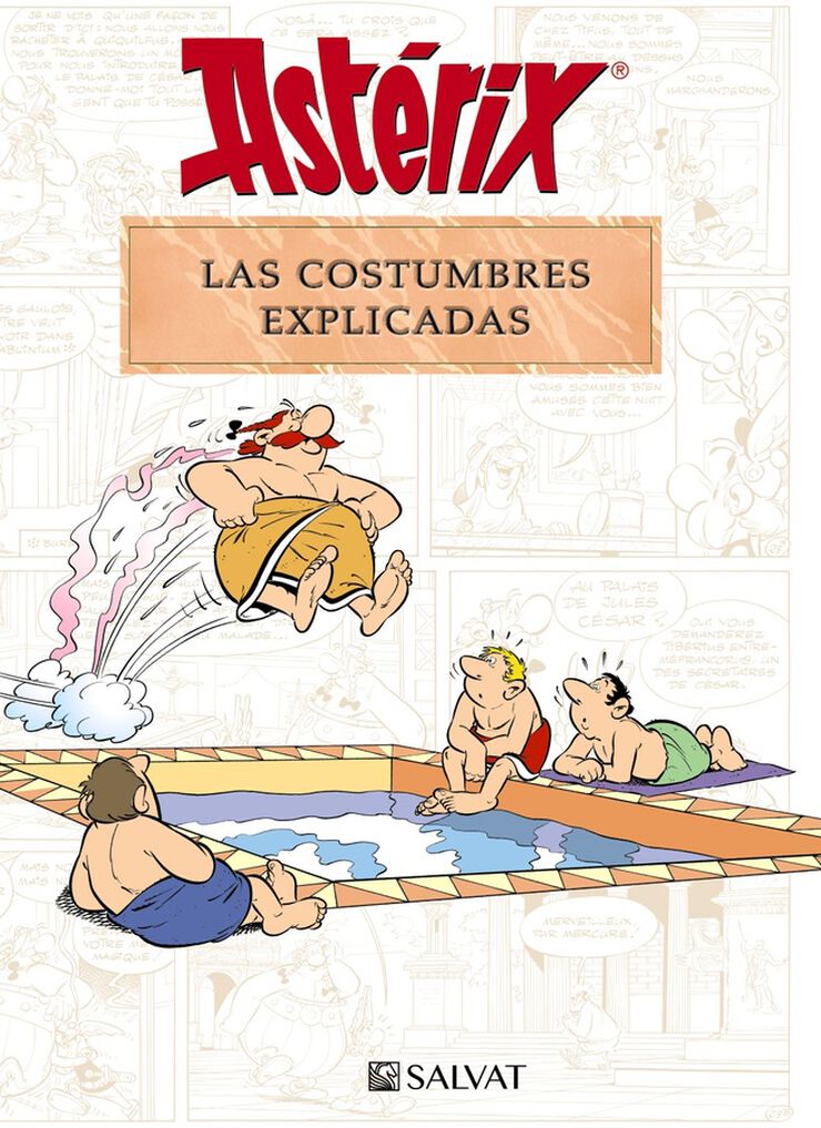Ast&eacute;rix. Las costumbres explicadas