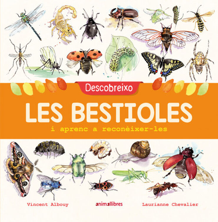 Descobreixo les bestioles i aprenc a recon&egrave;ixer-les