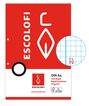 Recanvi Paper Escolofi A4 4x4 marge 2 forats 100 fulls