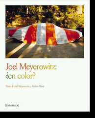 Joel Meyerowitz: &iquest;en color?
