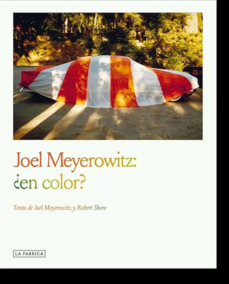 Joel Meyerowitz: &iquest;en color?