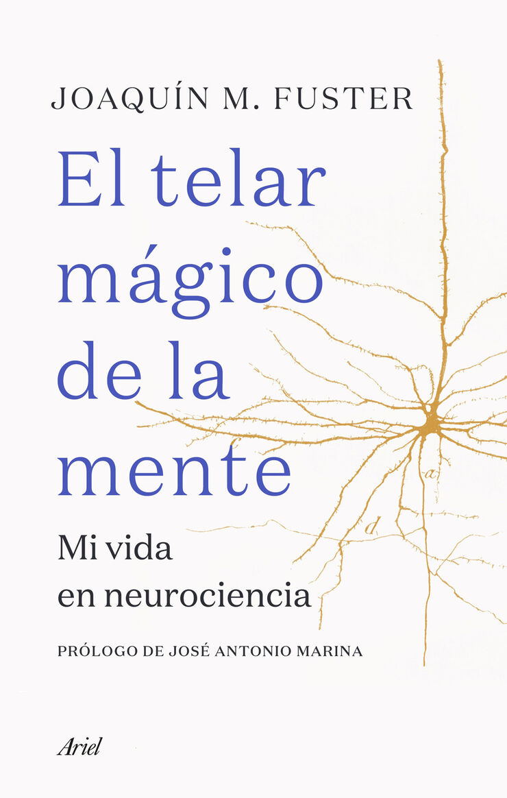 El telar m&aacute;gico de la mente