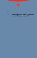 Adi&oacute;s a Emmanuel L&eacute;vinas