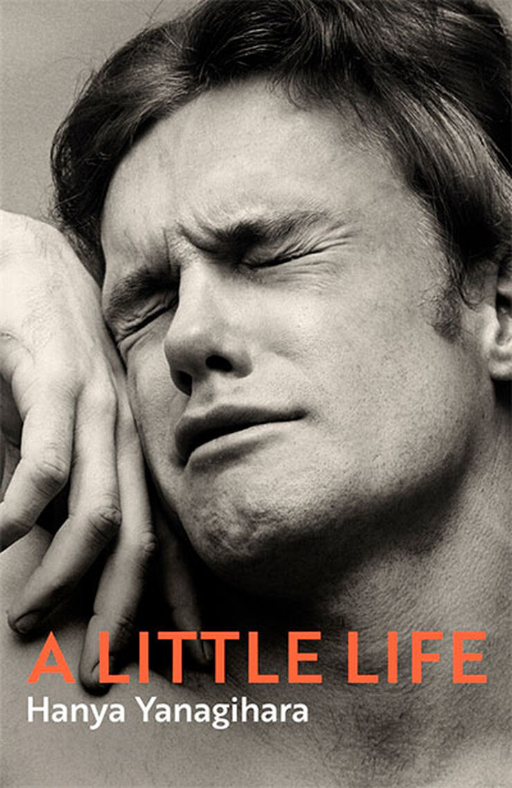 A little life