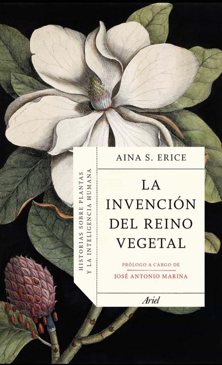 La invenci&oacute;n del reino vegetal
