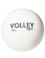 Pelota voleibol