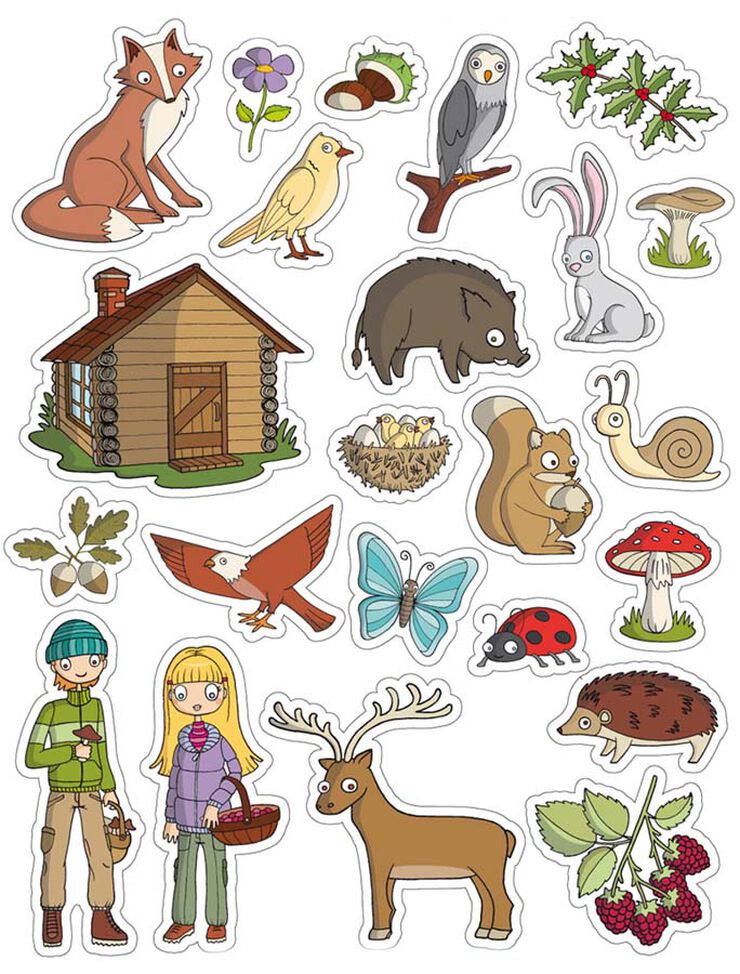 Gomets tem&aacute;ticos Apli El Bosque 3 hojas 69u