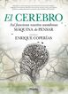 El cerebro