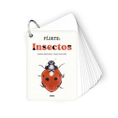 F&iacute;jate: insectos