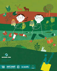 Punt i seguit Avan&ccedil;at 10