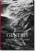 Sebasti&atilde;o Salgado. G&eacute;nesis