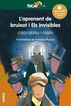 L&rsquo;aprenent de bruixot i Els Invisibles