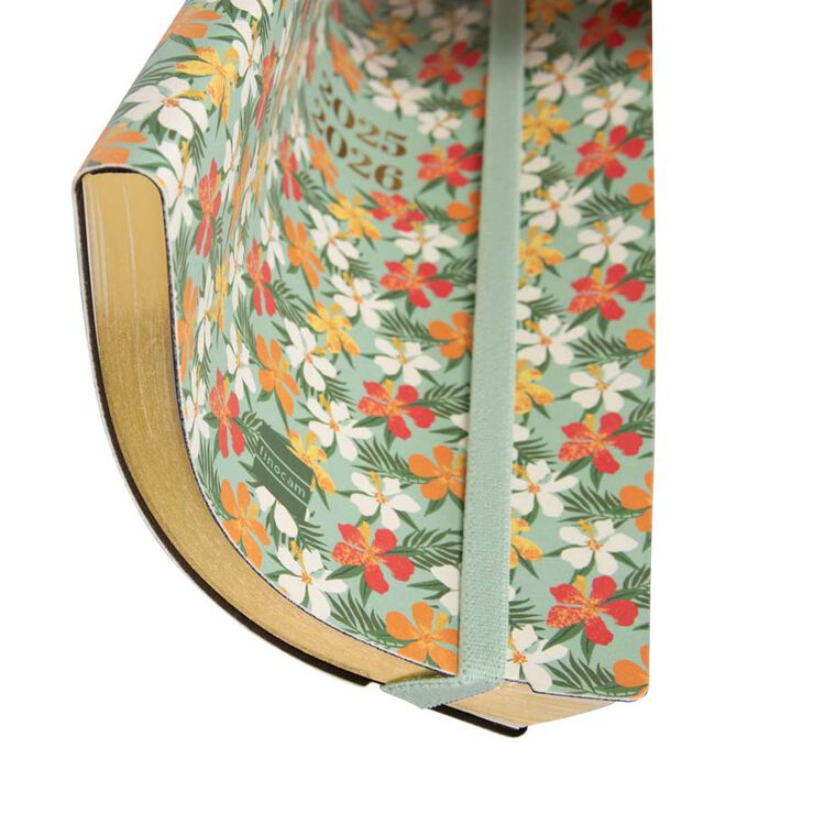 Agenda Finocam 18 mesos Mara Y10 setm/vista vertical mult 2025-26 daisy