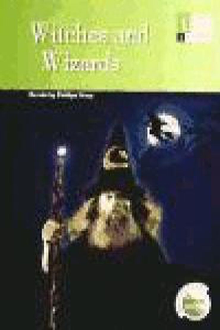 Witches & Wizards