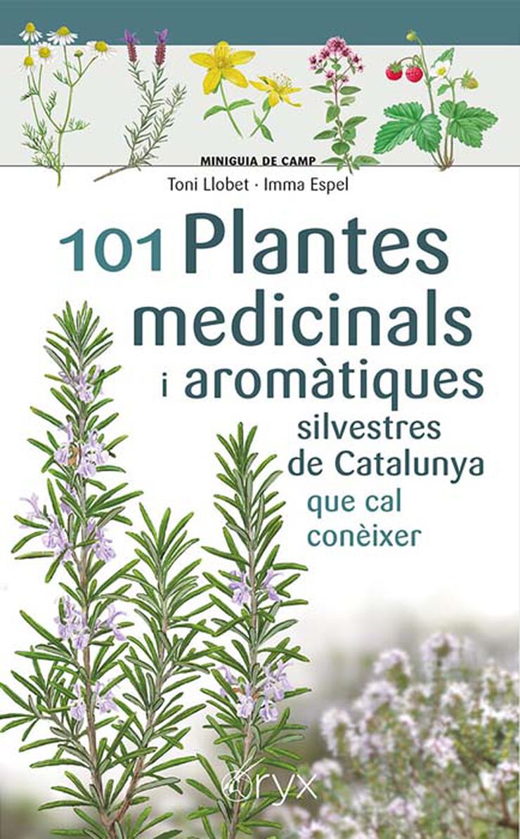 101 Plantes medicinals i arom&agrave;tiques silvestres de Catalunya